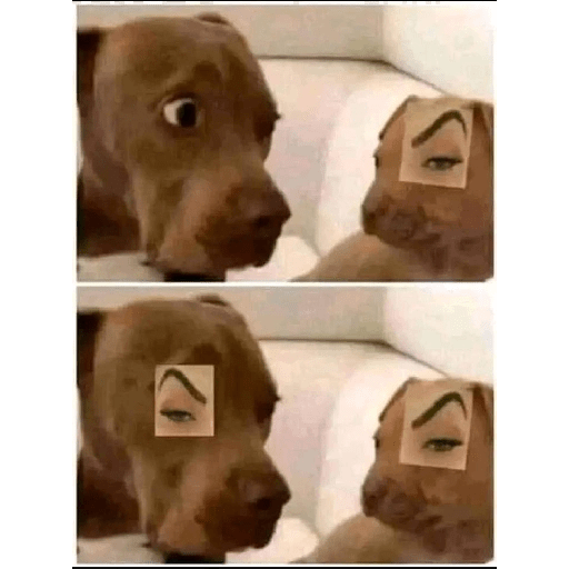 Memememes 18