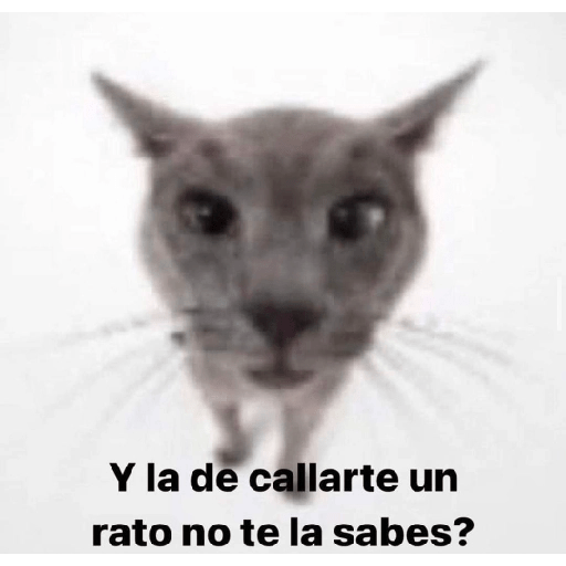 Memememes 13