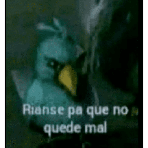 MEMES XD  12