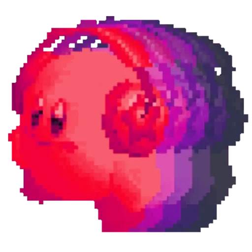 Cervello di carota 4