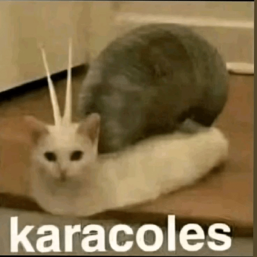 Random 5 25