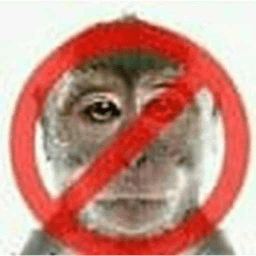 SYBAU 27