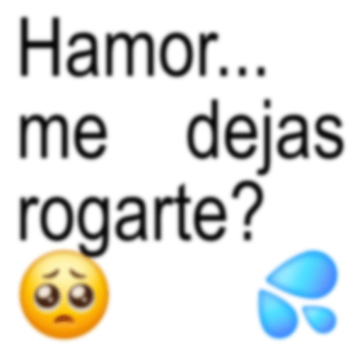 Chats 6