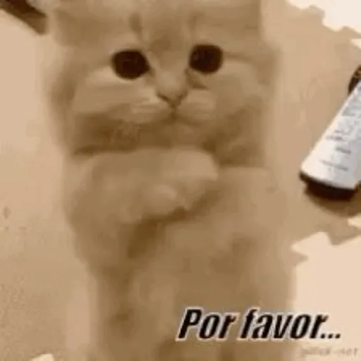 Fuera fuera depresion 3