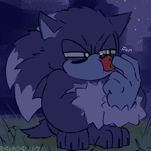 ⊱ Sonic / Werehog ⁽shipsLucia⁾ 7
