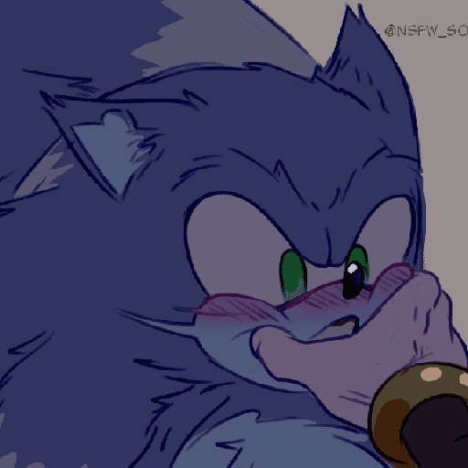 ⊱ Sonic / Werehog ⁽shipsLucia⁾ 22