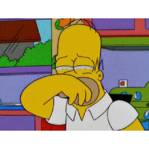 Homero Simpson 5
