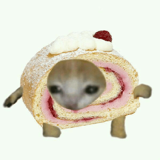 Cats comida 😺🍓 30