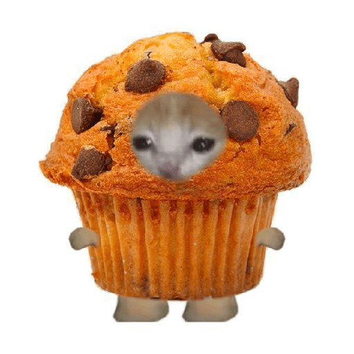 Cats comida 😺🍓 26