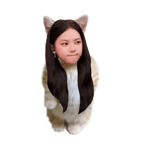 Karina aespa memes