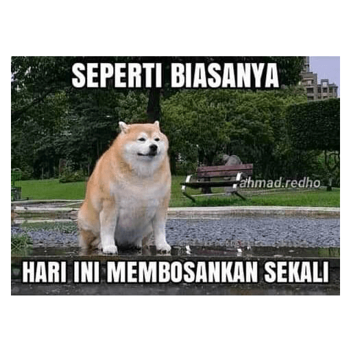 Gatau deh y 3