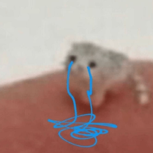 Gatitos 🤌 18
