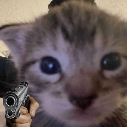 Gatitos 🤌 11