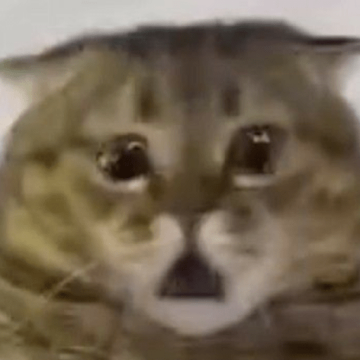 Gatitos 🤌 10