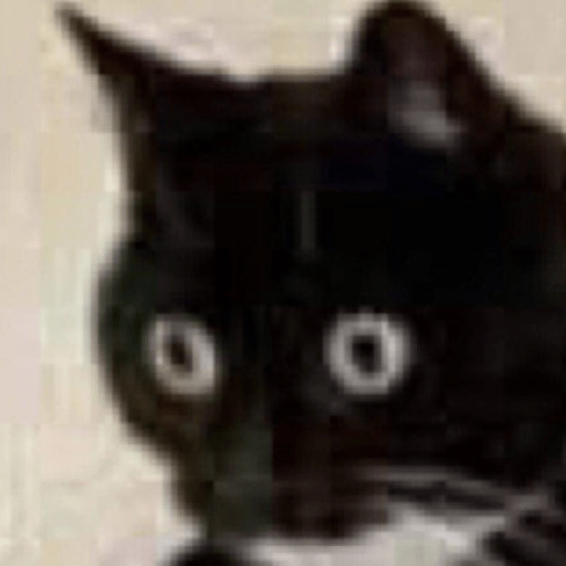Gatitos 🤌 6