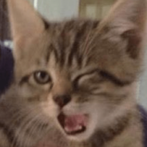 Gatitos 🤌 4