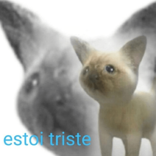Gatitos 🤌 3