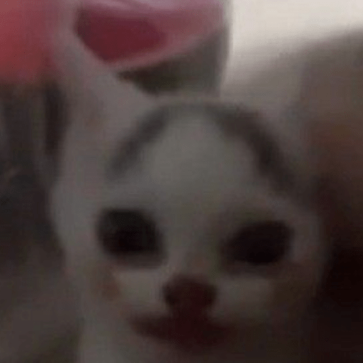 Gatitos 🤌 2