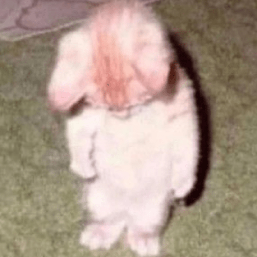 Gatitos 🤌 23