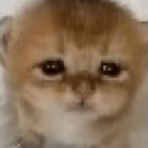 Gatitos 🤌 25