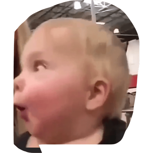 Fjkl 17