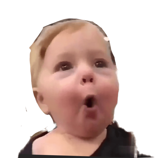 Fjkl 16