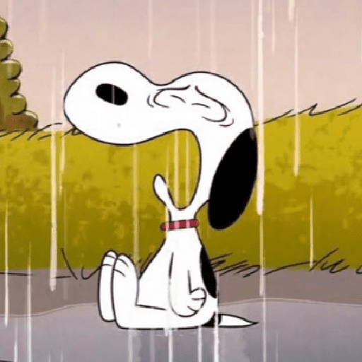 Snoopy 28