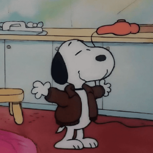 Snoopy 17