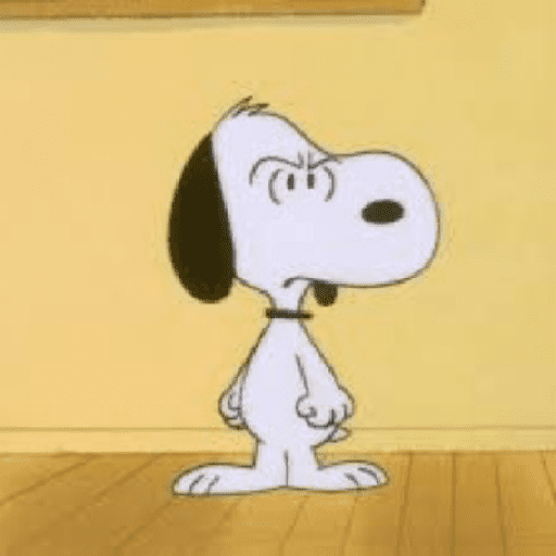 Snoopy 11