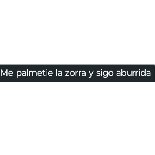 Escritos 13