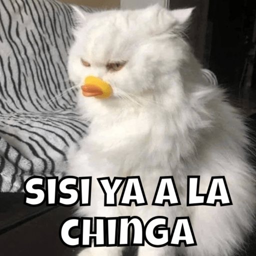 Michitos tiernos pt.2🐱💙 3