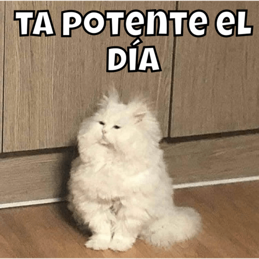 Michitos tiernos pt.2🐱💙 2