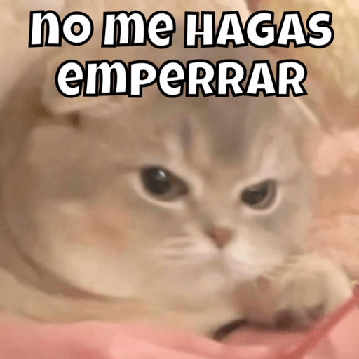Michitos tiernos pt.3🐱💙 3