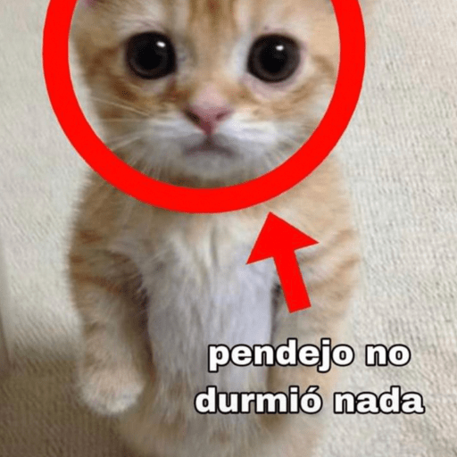 Si soy⭕️✅ 2
