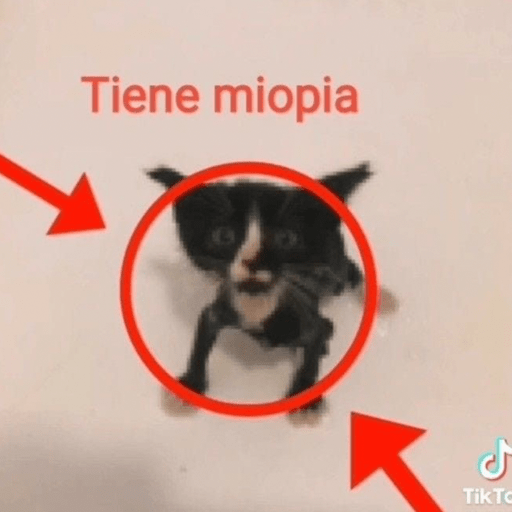 Si soy⭕️✅ 5
