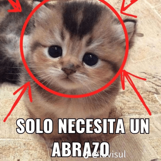 Si soy⭕️✅ 6