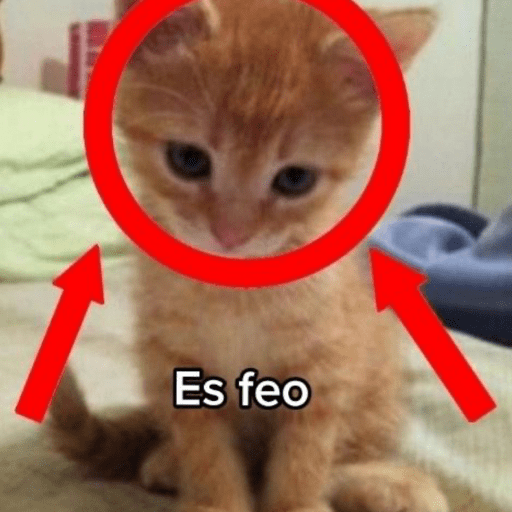 Si soy⭕️✅ 11