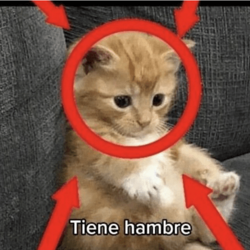 Si soy⭕️✅ 9