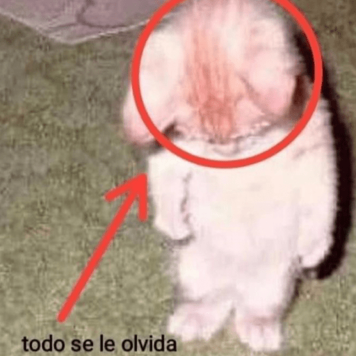 Si soy⭕️✅ 7