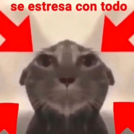 Si soy⭕️✅ 3