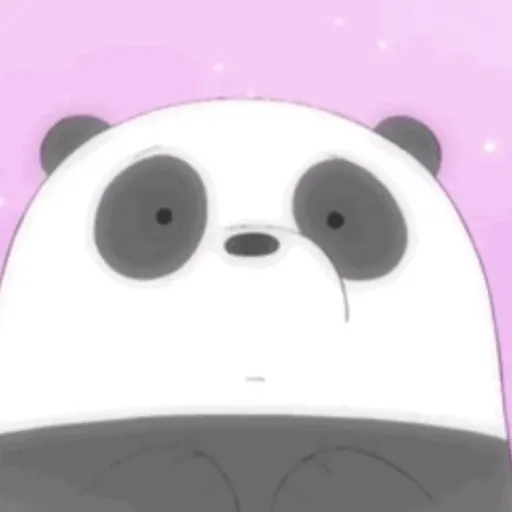 🐼🐻‍❄️🐻Escandalosos🐼🐻‍❄️🐻 15