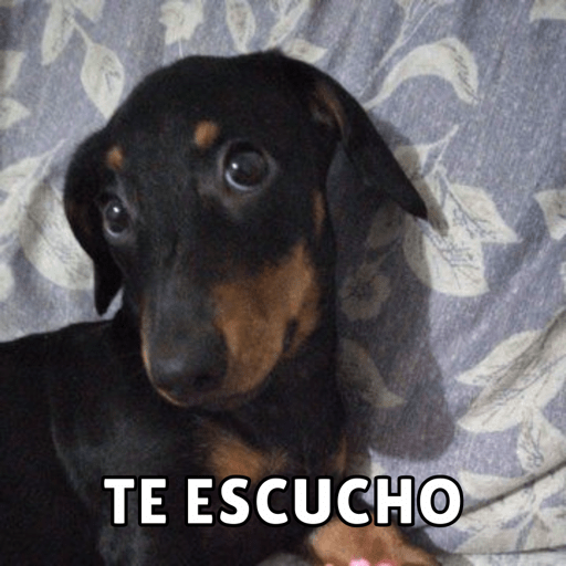 Memes pt. 2 10