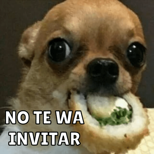 Memes pt. 2 8