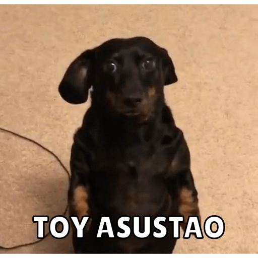 Memes pt. 2 12