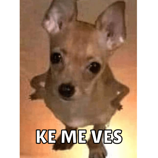 Memes pt. 2 14