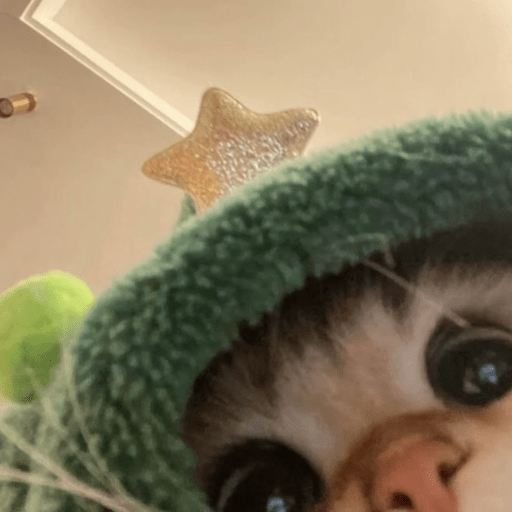 💝🐱Michitos bonitos🐱💝 5