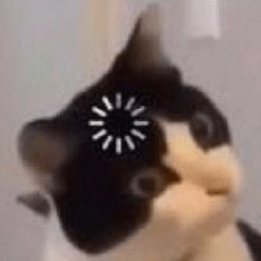 💝🐱Michitos bonitos🐱💝 13