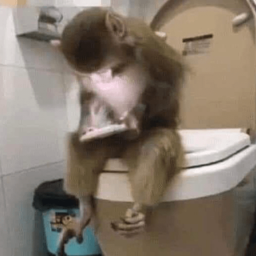 🤎🐵Monitos randoms🐵🤎