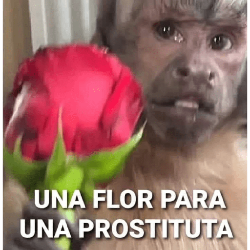 Meu 4