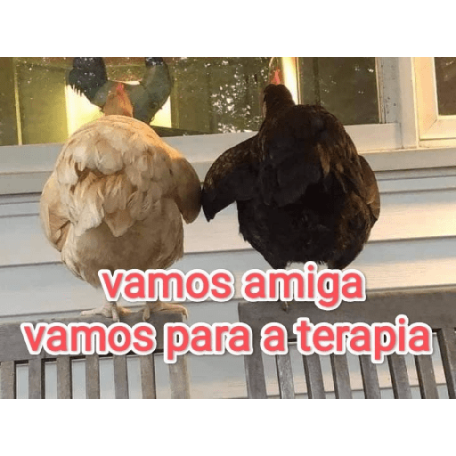 Meu 22